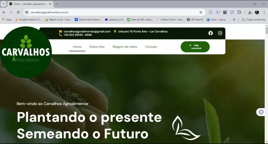 desenvolvimento web site carvalhos agroalimentar